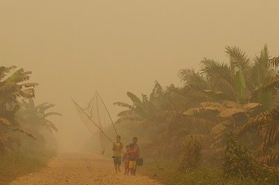Hidup bercermin Bangkai : Tafsir Peristiwa Bencana Ekologis Kebakaran Hutan lahan dan Banjir di Jambi